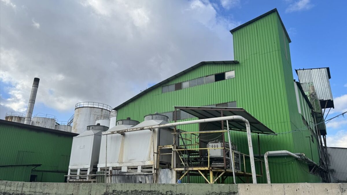 Yağ fabrikasında yangın: Müdahale sürüyor!