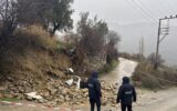 Tilki nöbetinde acı son… Bahçe duvarının altında kaldı! Tilki nöbetinde acı son… Bahçe duvarının altında kaldı!