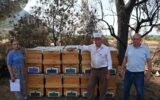 Yangında kovanları zarar gören arıcıya Büyükşehir’den destek